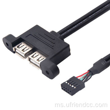 OEM Motherboard 9-Hole to Cable Perempuan USB Dual